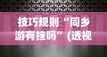 技巧规则“同乡游有挂吗”(透视)开挂详细教程