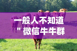一般人不知道 ＂微信牛牛群有透视挂吗”作弊挂(辅助外挂+