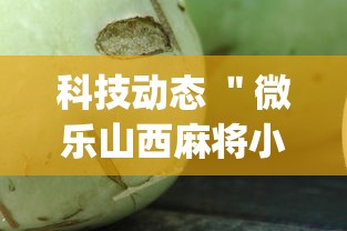 科技动态 ＂微乐山西麻将小程序怎么可以赢	”开挂(透视)辅助