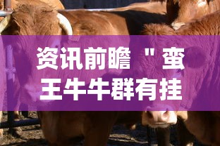 资讯前瞻 ＂蛮王牛牛群有挂吗”辅助挂下载”(最新开挂教程)