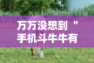 万万没想到 ＂手机斗牛牛有挂吗	”掌握辅助功能必胜规则