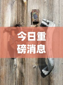 今日重磅消息“宝宝浙江麻将有挂吗?_游戏_玩家_工具 今日重磅消息“宝宝浙江麻将有挂吗?_游戏_玩家_工具