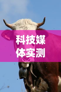 科技媒体实测“蛮王牛牛群有挂吗”(最新透视辅助上线)