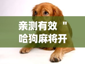 亲测有效 ＂哈狗麻将开挂”开挂(透视)辅助