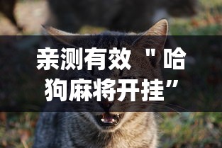 亲测有效 ＂哈狗麻将开挂	”开挂(透视)辅助