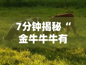 7分钟揭秘“金牛牛牛有挂吗”详细辅助教程分享