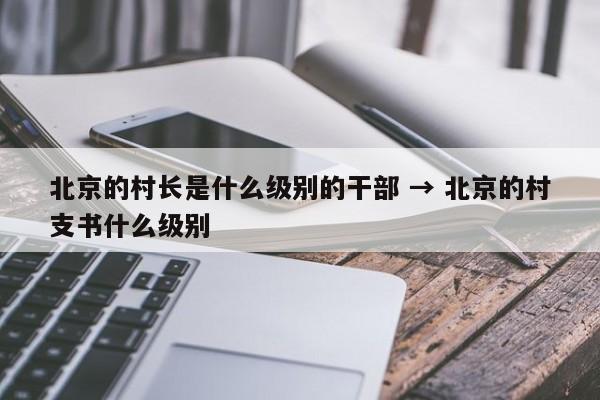 北京的村长是什么级别的干部 → 北京的村支书什么级别