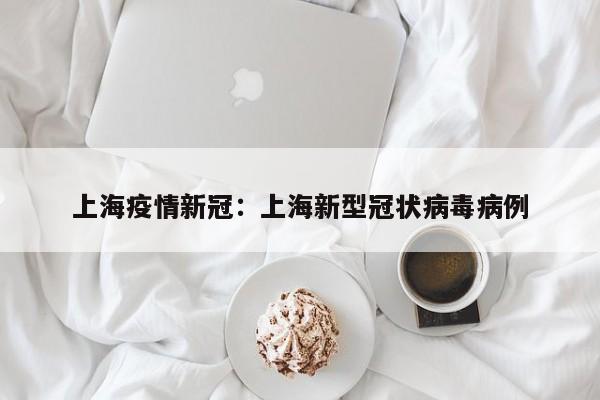 上海疫情新冠：上海新型冠状病毒病例