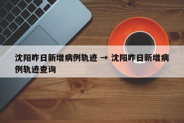 沈阳昨日新增病例轨迹 → 沈阳昨日新增病例轨迹查询