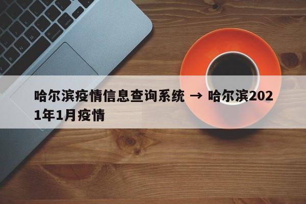 哈尔滨疫情信息查询系统 → 哈尔滨2021年1月疫情