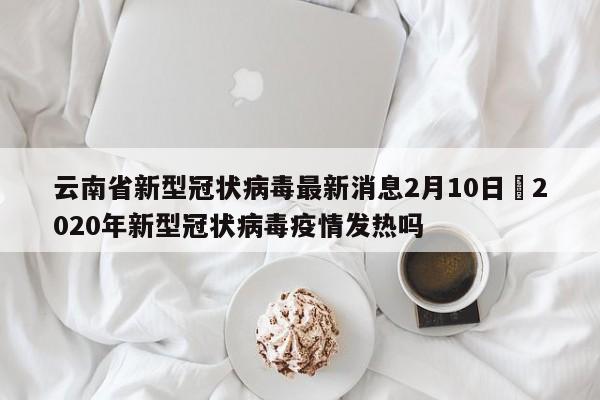云南省新型冠状病毒最新消息2月10日›2020年新型冠状病毒疫情发热吗