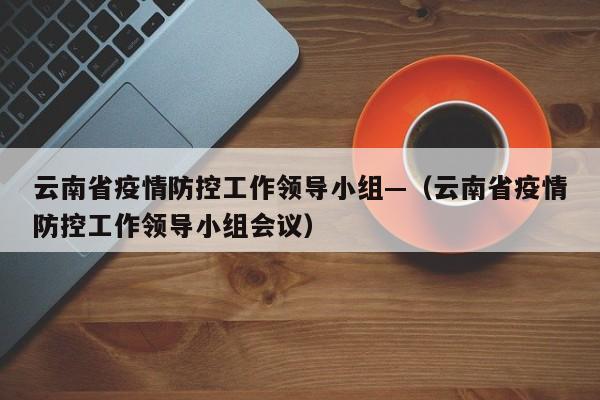 云南省疫情防控工作领导小组—（云南省疫情防控工作领导小组会议）