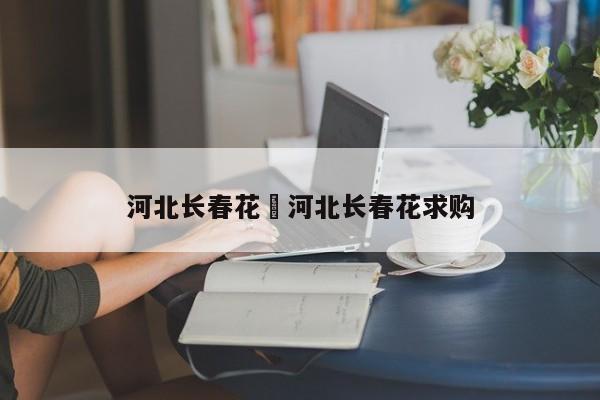 河北长春花›河北长春花求购