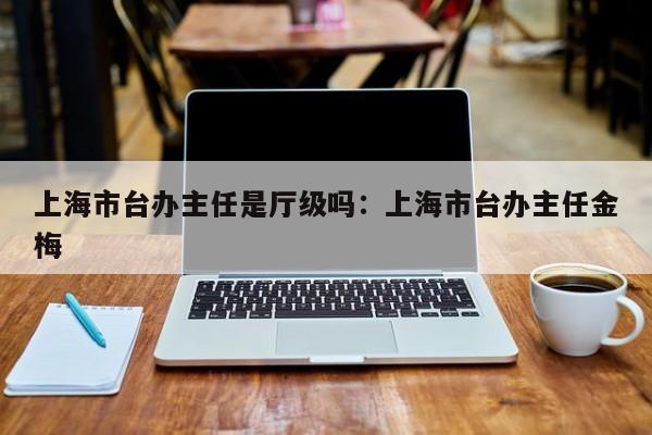 上海市台办主任是厅级吗:上海市台办主任金梅