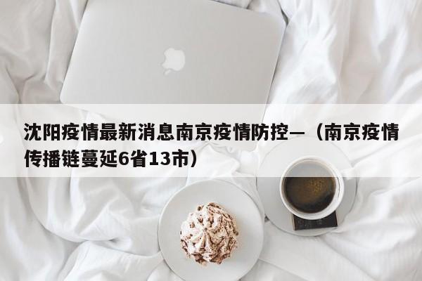 沈阳疫情最新消息南京疫情防控—（南京疫情传播链蔓延6省13市）